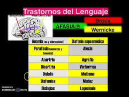 Sabes que piochachio prosendió y que quiero dibujarle círculos y cuidar de él como que tú querías antes. 21 Neurologico Afasia De Broca O De Wernicke Youtube