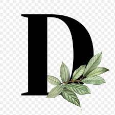 Botanical Capital Letter D Transparent Png Premium Image By Rawpixel Com Aum Lettering Alphabet Fonts Letter D Lettering
