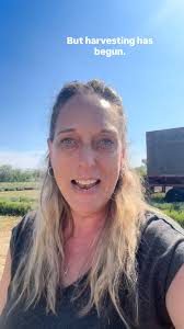 Harvesting has begun!🪻#farmlife #lavenderharvestingseason #peclavenderfarm