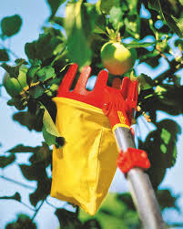 Wolf Garten Multi Star Rg M Obst Ernte Gartenarbeit
