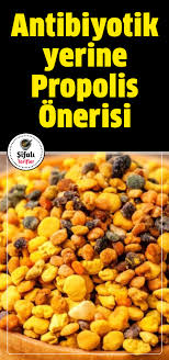 Antibiyotik Yerine Propolis Onerisi Saglikli Olmak Saglikli Yasam Dogal Receteler