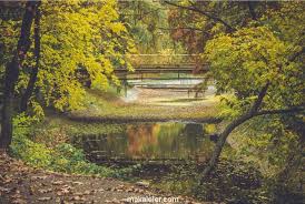 Arboretum Nedir