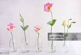 Image result for eustoma lisianthus in vase