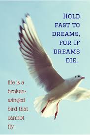 Birds That Cannot Fly Images Dream Quotes Dream Quotes Birds That Cannot Fly Life
