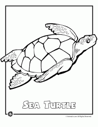 Endangered Animals Coloring Pages Animals From North America The Rainforest The Ocean Woo Jr Kids Activities Turtle Coloring Pages Animal Coloring Pages Sea Turtle Art