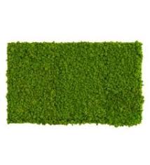 Mooswand Aus Islandmoos Im Greenbop Online Shop Kaufen In 2020 Island Moos Moos Pflanzen