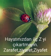 Leyla Adli Kullanicinin Bilgece Yasamak Panosundaki Pin Hayat Guzel Soz Ozlu Sozler