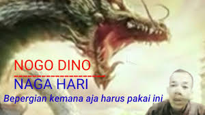 We did not find results for: Cara Mengetahui Letak Nogo Dino Youtube