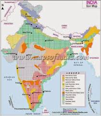 Classification Of Soils In India