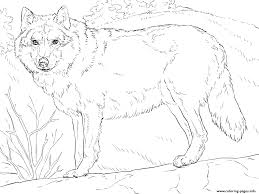 Wolves live in the woods and are so pretty at night. Grey Wolf 2 Coloring Pages Printable