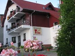 Hotel Pensiunea Tisa Baile Felix