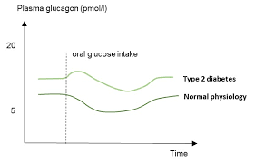 When hypoglycemia is discussed, often the aforementioned shift in glycemic threshold is set aside and an arbitrary cutoff of 70 mg/dl is used. Glucagon Physiology Endotext Ncbi Bookshelf