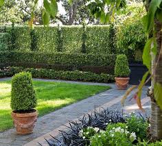 Hedge Garden Design Topiary Plants For Sale Wellington Backyard Landscaping Garden Hedges Indoor Herb Garden Diy