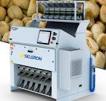 Color sorting machine - FCS - SELGRON - automatic / for grain