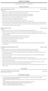 Risk Business Analyst Resume Sample Mintresume
