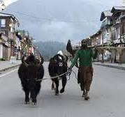 Pahalgam Attack Shutdown Against Terror Attack In वाराणसी  विश्वनाथ, त्र्यंबकेश्वर, वैद्यनाथ सोमनाथ, नागेश्वर, रामेश्वर, घुश्मेश्वर और समस्त रुबिका लियाकत मक्का मदीना यात्रा धधि ...