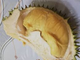 Ia langsung terkapar lemah sedangkan ahmad malah makin bersemangat mendengar bisikan luapan syahwat ustadzah alim yang telah menunjukkan kebinalannya itu telah ikhlas sepenuh hati merelakan bagian paling sensitif dan. Durian Kampung Durian Jelebu Rm12 Sekilo Suria Amanda