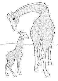 Me to you kleurplaat baby / : Baby Giraffe Kleurplaat