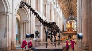 Video highlights view all videos. Dippy On Tour Opens At Norwich Cathedral For Final Stop Of Nationwide Tour Natural History Museum