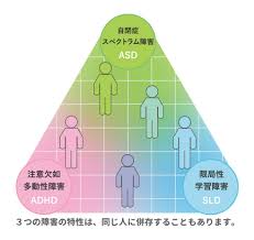 大人の発達障害とは ディーキャリア 大人の発達障害専門の就労移行支援事業 発達障害 障害 精神障害