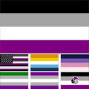LGBT Asexual Pride Flag Aroace America Non-vanilla spectrum Grey ...