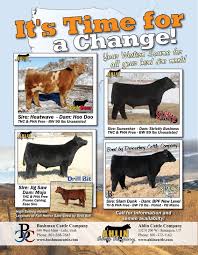 Cattle Sale Ad Inspiration Cattle Livestock Breeds