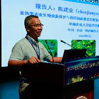 However, under ye qingtang's persistent requests, the silver wolf still followed ye qingtang and was on the road together with the rest. Loop Jian Ye Chen