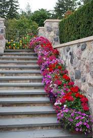 Amazing Flower Pot Displays On Stairs Page 11 Of 11 Paige S Party Ideas Outdoor Flowers Plants Beautiful Gardens
