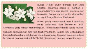 We did not find results for: Tema 1 Subtema 3 Kelas 6 Soal Dan Kunci Jawaban