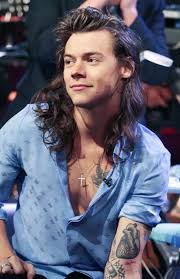 Pin By Caroline And Natalie On Styles In 2020 Harry Styles Long Hair Harry Styles Harry Styles Photos