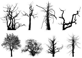 This site uses cookies to improve your experience and collect statistics. Dead Trees Free Photoshop Brushes At Brusheezy