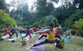 El rest pause rainforest retreat se encuentra en bentong y ofrece salón compartido, jardín y zona de barbacoa. Rest Pause Rainforest Retreat Villas For Rent In Bentong Pahang Malaysia