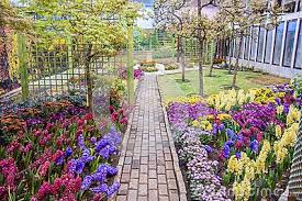 Manusia dengan pakaian putih membanjiri laluan ke arafah. Wisata Taman Botani Negara Shah Alam Malaysia