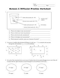 Identify key physical conditions that influence transportation processes. Diffusion Osmosis And Active Transport