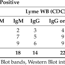 Igm And Igg Western Blots And Immunoblots Results In Different Stages Download Table