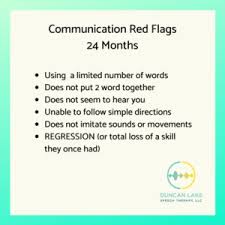Image result for Language Milestone Red Flags