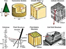 Super Durable Material Made From Wood Waste Is Stronger Cheaper And Lighter Than Kevlar Wood Waste Carbon Fiber Kevlar