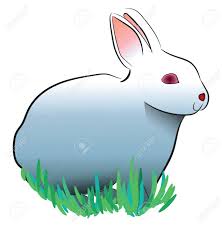 We did not find results for: A White Rabbit With Red Eyes And Big Bunny Ears Vector Color Drawing Or Illustration Royalty Free Cliparts Vectors And Stock Illustration Image 123451837