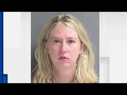 4 dogs found dead in car in New Smyrna Beach