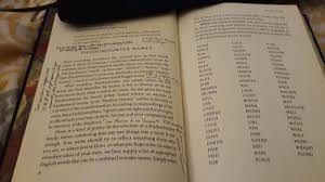 Hebrew unisex name meaning lion of god. in the bible, this is a name applied to the city of jerusalem, and the name of a chief of the returning exiles. Rosales Fandom