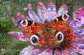 Eine individuelle fotocollage als zahl erstellen ist mit jeder zahl zwischen zehn und hundert möglich. Wilde Farben Der Pflanzen Und Insektenwelt In Der Fotocollage Schmetterling Beschreibung Programmparameter Fur Das Erstellen Detailansicht Video Auflosung Beim Speichern