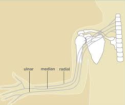 We did not find results for: Rs Pondok Indah
