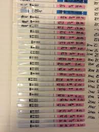 Kann 4 oder mehr fruchtbare tage identifizieren schwangerschaftstest Ovulationstest Vol 7 Hibbeln Auf 2022 Kinderwunsch Babycenter