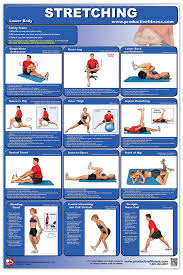 Stretching Lower Body Productive Fitness