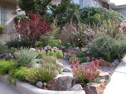 Pin By David Stevens On Xeriscaping Sustainable Landscaping Low Maintenance Landscaping Front Yard Pinterest Garden