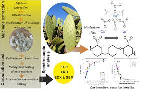 Air traffic control keeps aircraft from colliding with each other. Carbonation Of High Calcium Lime Mortars Containing Cactus Mucilage As Additive A Spectroscopic Approach Springerlink