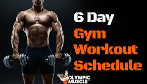 6 day gym workout schedule full guide olympic muscle