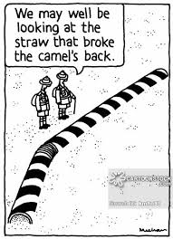 Ye blind guides, who teach others to do as you do yourselves, to strain out a gnat — from the liquor they are going to drink! Quotes About Camels 96 Quotes
