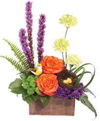 Our expert florists create the perfect floral gifts to suit any special occasion and offer quick and easy floral delivery throughout el paso for your convenience. El Paso Florist El Paso Tx Flower Shop Como La Flor Flowers And Balloons