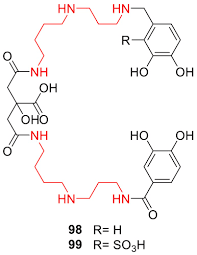 Image result for Oncinotis tenuiloba